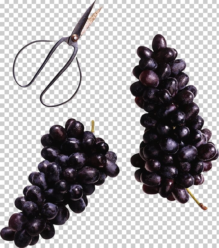 Wine Grapevines Blackcurrant Food PNG, Clipart, Auglis, Berry, Blackcurrant, Food, Fruit Free PNG Download
