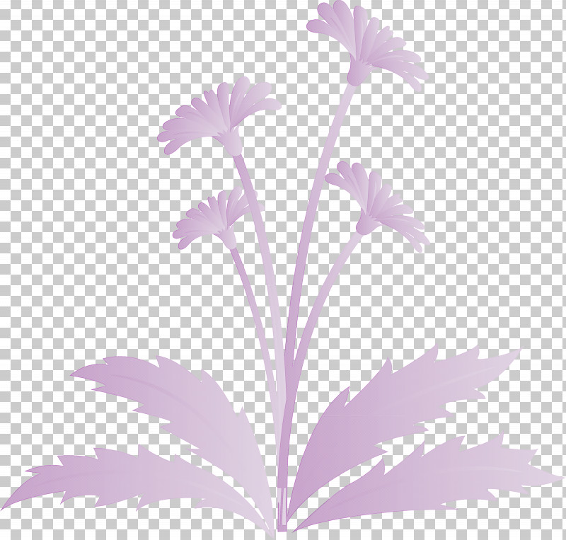 Dandelion Flower Easter Day Flower Spring Flower PNG, Clipart, Aster, Dandelion Flower, Easter Day Flower, Flower, Herbaceous Plant Free PNG Download