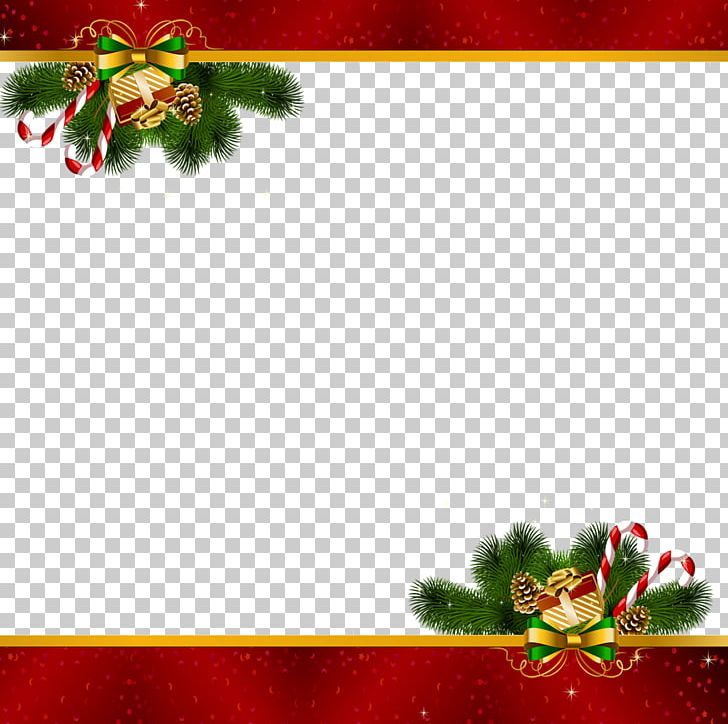 Christmas Decoration Santa Claus Christmas Ornament PNG, Clipart, Aquifoliaceae, Aquifoliales, Border, Chr, Christmas Free PNG Download