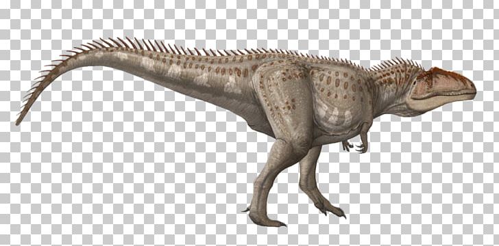 Tyrannosaurus Velociraptor Terrestrial Animal Wildlife PNG, Clipart, Animal, Animal Figure, Dinosaur, Extinction, Fauna Free PNG Download