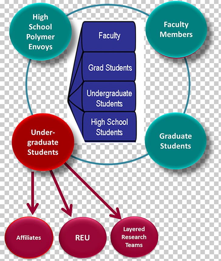 Undergraduate Education Undergraduate Degree Intern University Of Amsterdam PNG, Clipart, Academic Degree, Area, Brand, Career, Career Development Free PNG Download