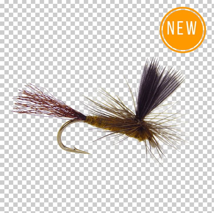 Artificial Fly The Salmon Fly Dry Fly Fishing Fly Tying PNG, Clipart, Artificial Fly, Bait, Blue Parachute, Dry Fly Fishing, Fishing Free PNG Download