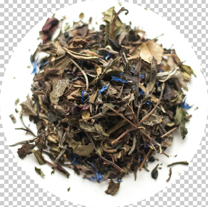 Green Tea Le Palais Des Thés Masala Chai Earl Grey Tea PNG, Clipart, Assam Tea, Bai Mudan, Bancha, Black Tea, Ceylon Tea Free PNG Download