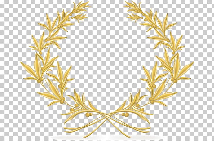 Olive Wreath Laurel Wreath Olive Branch PNG, Clipart, Bay Laurel, Branch, Commodity, Drawing, Flower Free PNG Download