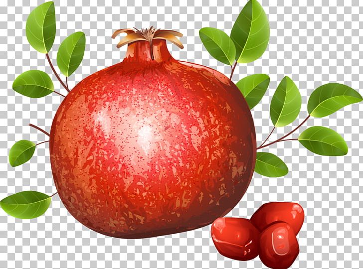 Pomegranate PNG, Clipart, Accessory Fruit, Apple, Clip Art, Diet Food, Drawing Free PNG Download