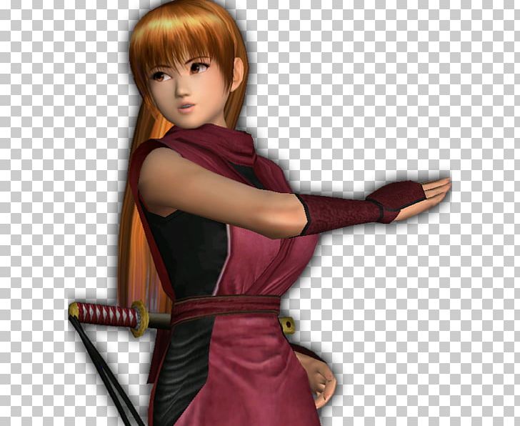 Dead Or Alive 5 Last Round Dead Or Alive 2 Dead Or Alive 5 Ultimate Dead Or Alive: Dimensions PNG, Clipart, Arm, Brown Hair, Costume, Dead Or Alive, Dead Or Alive 3 Free PNG Download