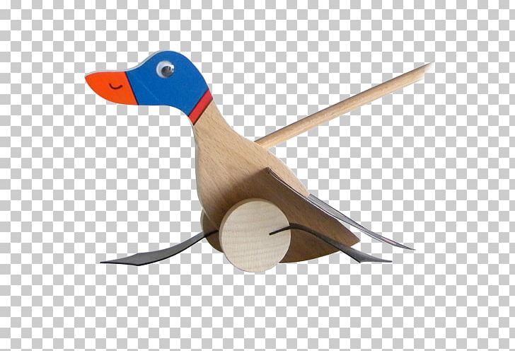 Duck Wood /m/083vt PNG, Clipart,  Free PNG Download