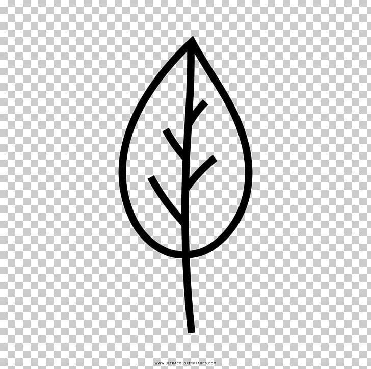 Leaf Tree Drawing Coloring Book PNG, Clipart, Angle, Area, Ausmalbild, Black And White, Book Free PNG Download