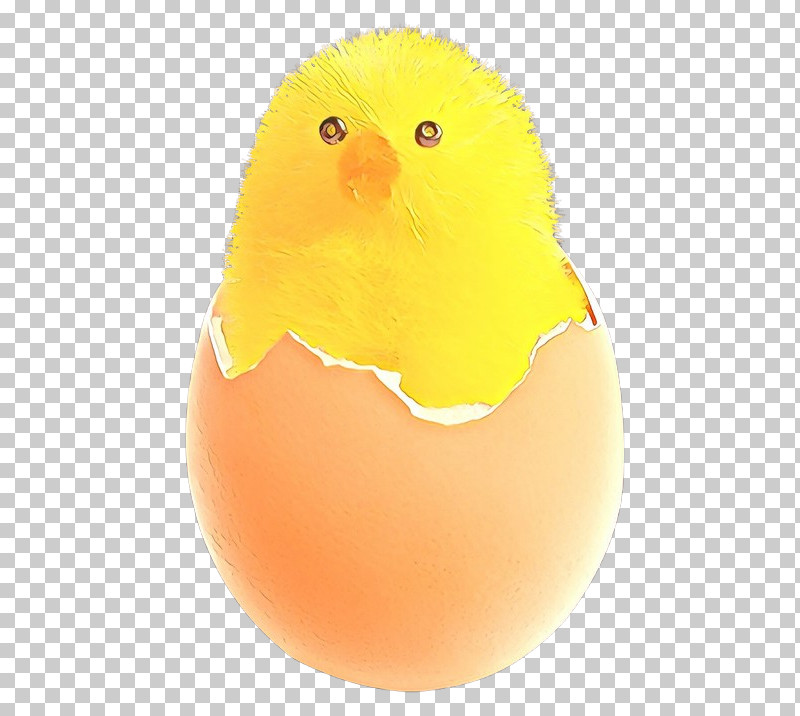 Easter Egg PNG, Clipart, Bath Toy, Beak, Bird, Chicken, Easter Egg Free PNG Download
