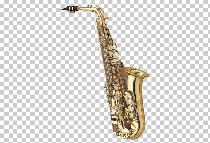 Alto Saxophone Tenor Saxophone Soprano Saxophone Henri Selmer Paris PNG, Clipart, Alto Saxophone, Baritone Saxophone, Bass Oboe, Brass Instrument, Clarinet Family Free PNG Download