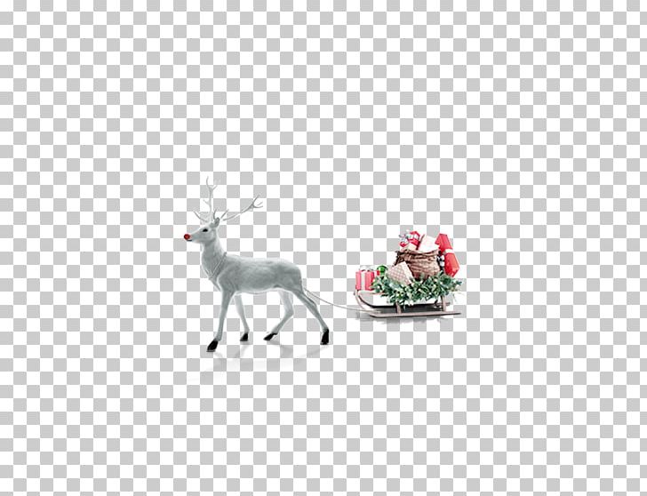 Deer Santa Claus Christmas Tree Gift PNG, Clipart, Animals, Antler, Birthday, Christmas Decoration, Christmas Deer Free PNG Download