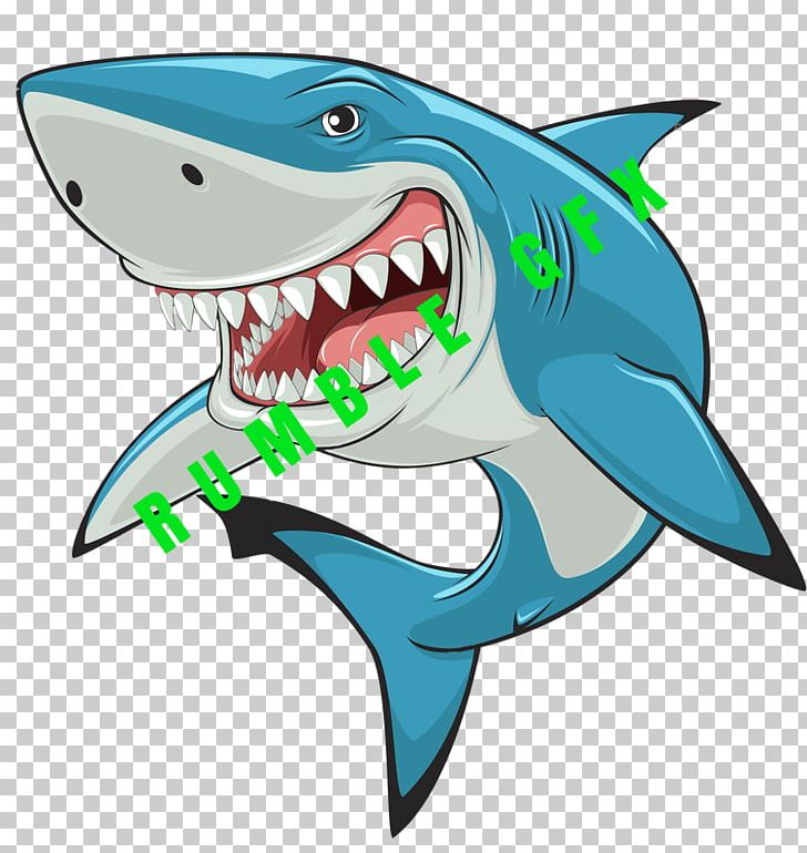 Great White Shark PNG, Clipart, Animals, Cartilaginous Fish, Cartilaginous Fishes, Download, Drawing Free PNG Download