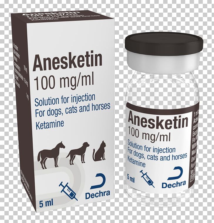 Injection Horse Dog Detomidine Butorphanol PNG, Clipart, Analgesic, Anesthesia, Butorphanol, Dechra Pharmaceuticals, Dog Free PNG Download