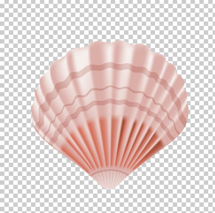 Seashell Euclidean PNG, Clipart, Animals, Beautiful Girl, Beauty, Beauty Leg, Beauty Salon Free PNG Download