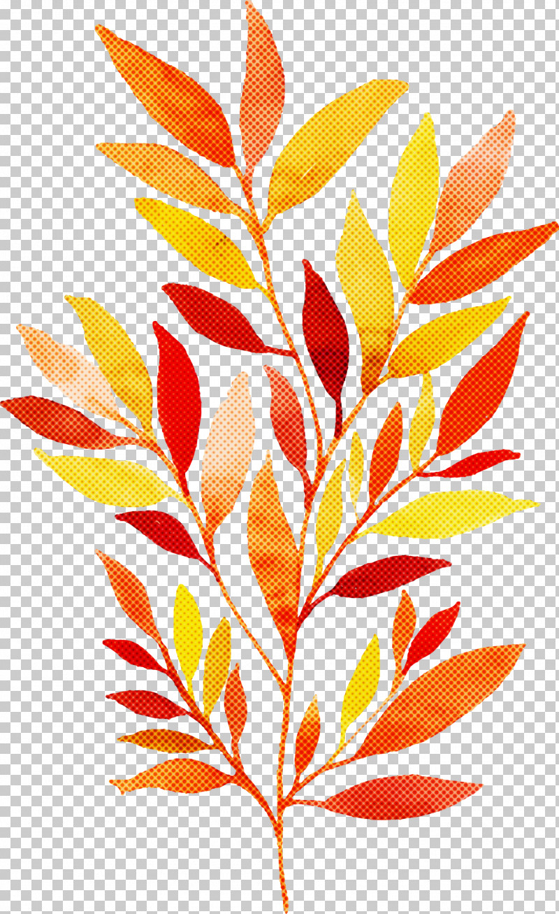 Floral Design PNG, Clipart, Flora, Floral Design, Leaf, Line, Mathematics Free PNG Download