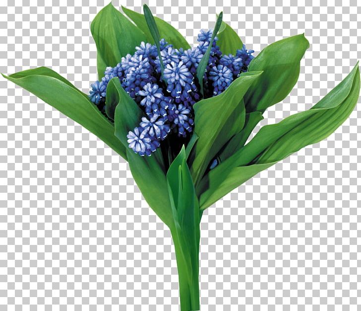Flower PNG, Clipart, Blue, Cut Flowers, Deputy Crown Prince, Flower, Flower Bouquet Free PNG Download