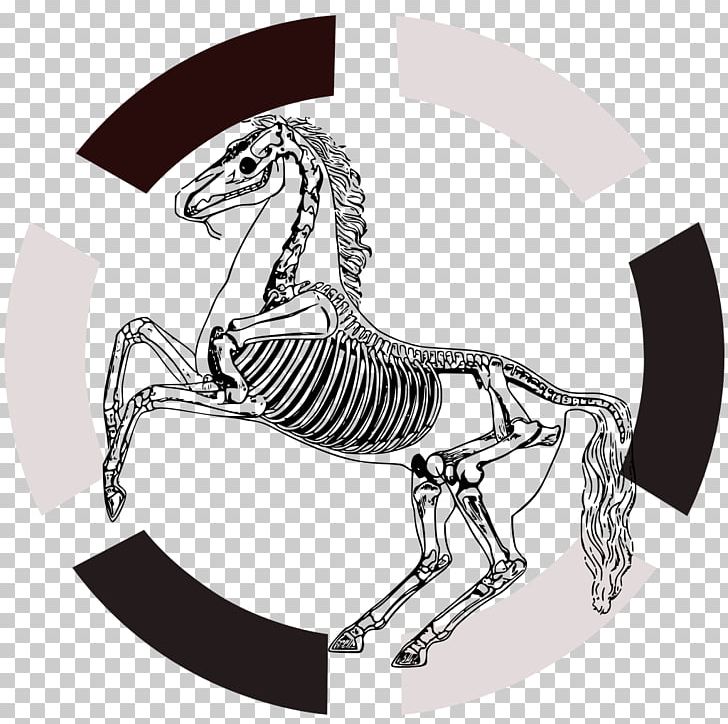 Horse Human Skeleton Anatomy Navicular Bone PNG, Clipart, Anatomy, Animals, Arm, Art, Black And White Free PNG Download