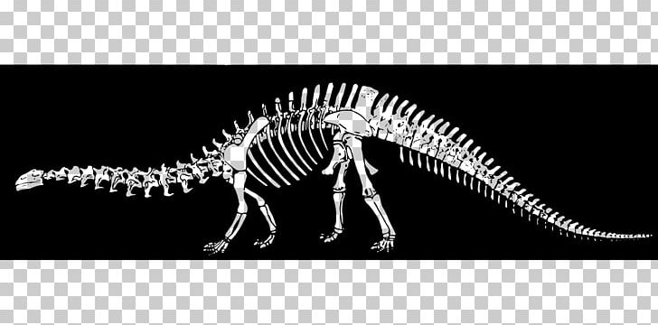 Velociraptor The Lost World ARK: Survival Evolved Dinosaur Tyrannosaurus PNG, Clipart, Ark Survival Evolved, Black And White, Bone, Bones, Brontosaurus Free PNG Download