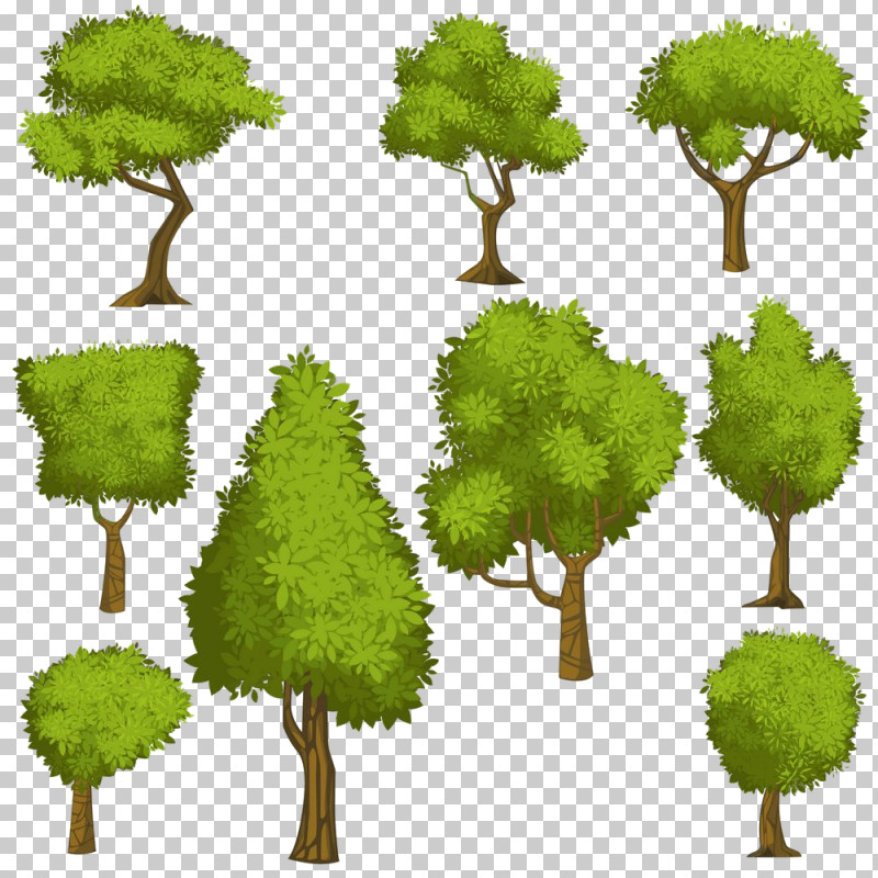 Arbor Day PNG, Clipart, Arbor Day, Grass, Green, Leaf, Plane Free PNG Download