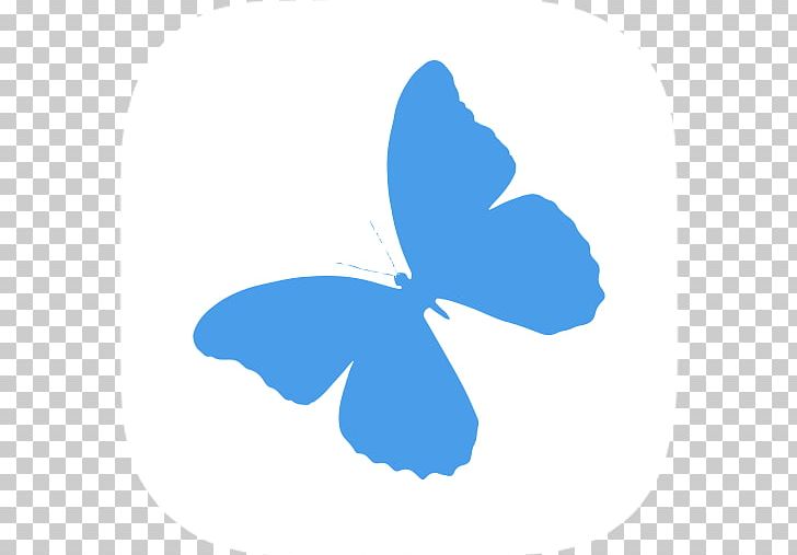 Butterfly Effect Asterope Papilio Ulysses PNG, Clipart, Asterope, Butterflies And Moths, Butterfly, Butterfly Effect, Color Free PNG Download