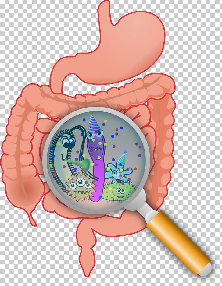 large intestine bacterial overgrowth