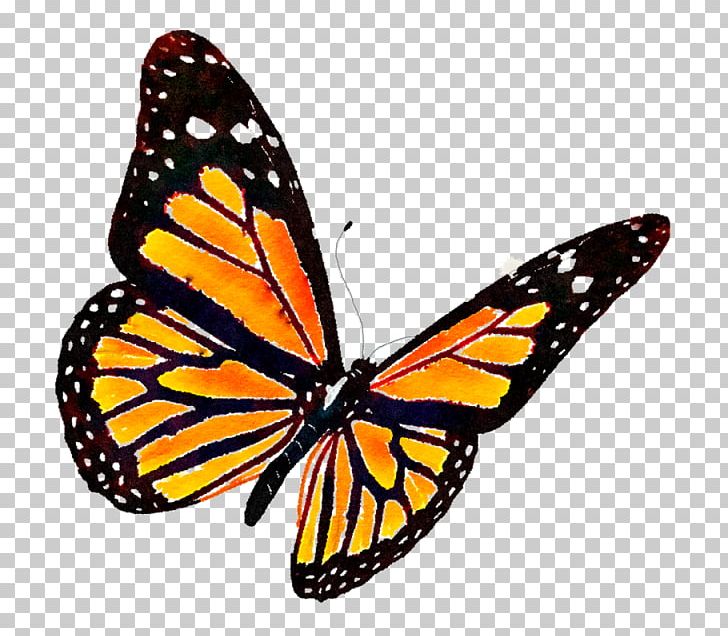 Monarch Butterfly PNG, Clipart, Arthropod, Brush Footed Butterfly, Butterflies And Moths, Butterfly, Clip Art Free PNG Download