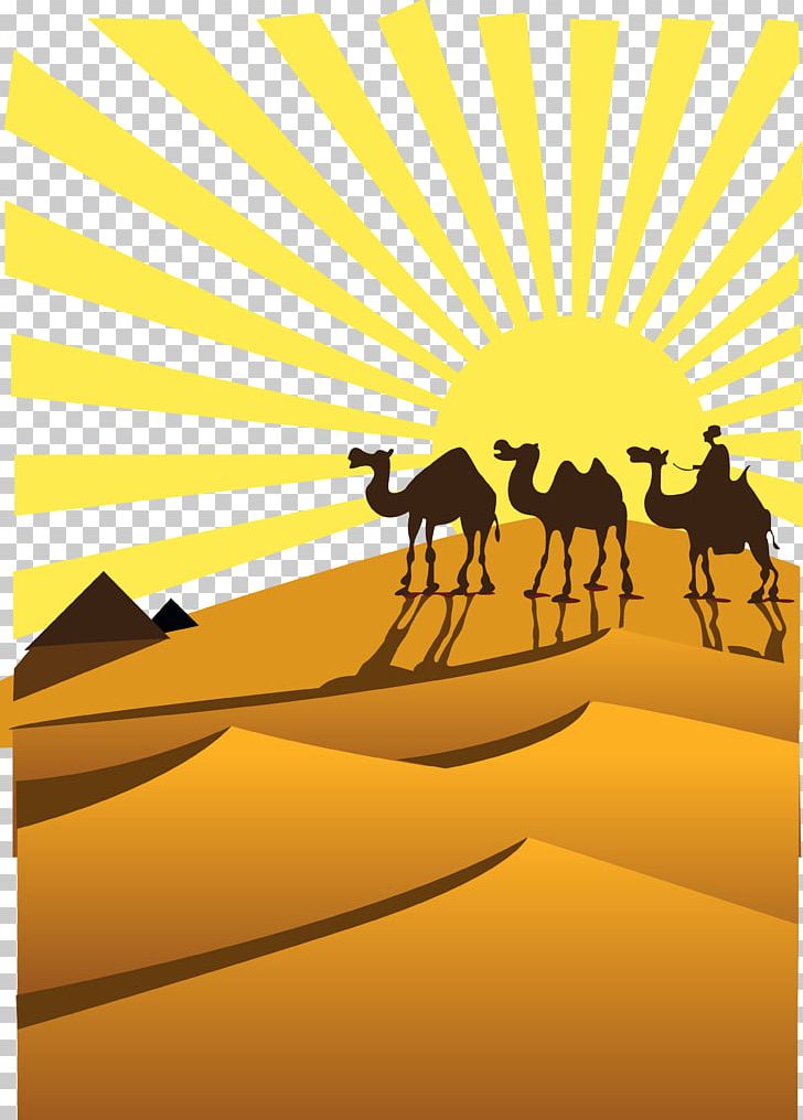 Sahara Desert Camel PNG, Clipart, Animals, Camel Cartoon, Camel Vector, Cartoon, Cartoon Camel Free PNG Download