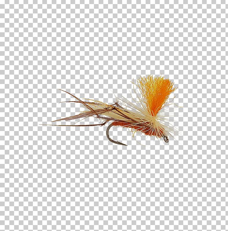 Artificial Fly Crane Fly Insect Wing PNG, Clipart, Adult, Artificial Fly, Cdc, Colias, Colias Eurytheme Free PNG Download