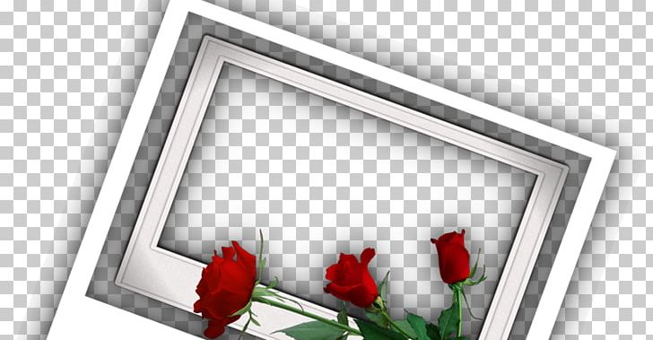 Frames PhotoScape GIMP PNG, Clipart, Addition, Facebook, Facebook Inc, Flower, Gimp Free PNG Download