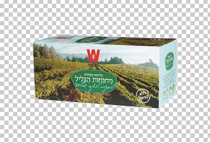 Lemon Beebrush Wissotzky Tea Galilee Lemon Balm PNG, Clipart, Aloysia, Brand, Cymbopogon Citratus, Galilee, Gram Free PNG Download