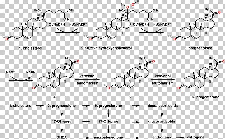 Progesterone Progestin Hormone Estrogen Chemical Synthesis PNG, Clipart, Angle, Area, Auto Part, Black And White, Chemical Synthesis Free PNG Download