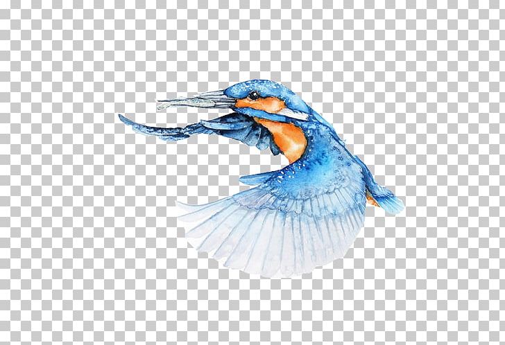 Bird Watercolor Painting Canvas Architect PNG, Clipart, Animal, Aquarium Fish, Architecture, Artist, Beak Free PNG Download