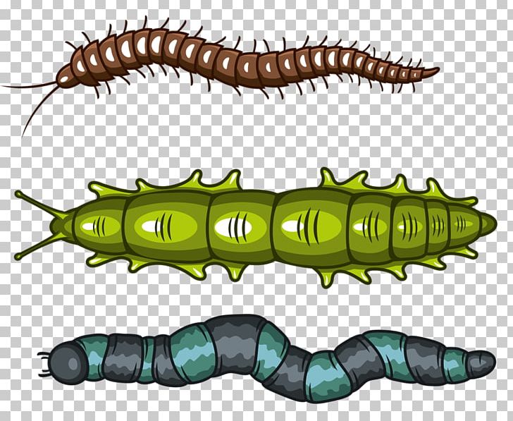 Caterpillar Inc. Worm PNG, Clipart, Animals, Antenna, Cartoon, Cartoon Caterpillar, Caterpillar Free PNG Download