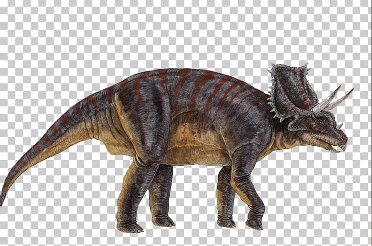 Chasmosaurus Ceratopsia Triceratops Microceratus Centrosaurus PNG, Clipart, Ancient, Carnotaurus, Cartoon Dinosaur, Ceratops, Ceratopsidae Free PNG Download