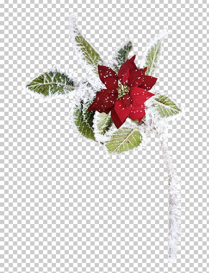 Christmas Ornament Garland Khan Bank Could It Be Different? PNG, Clipart, Christmas, Christmas Decoration, Christmas Lights, Christmas Ornament, Christmas Tree Free PNG Download