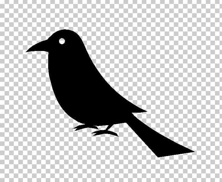 House Sparrow PNG, Clipart, American Sparrows, Art, Beak, Bird, Bird Shape Free PNG Download