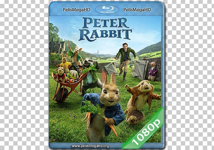 The Tale Of Peter Rabbit Film Cinema 0 Comedy PNG, Clipart, 2018, Animaatio, Beatrix Potter, Beatrix Potter Peter Rabbit, Cinema Free PNG Download