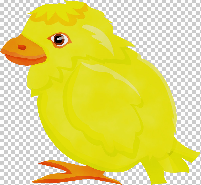 Bird Yellow Beak Ducks, Geese And Swans Chicken PNG, Clipart, Animal Figure, Baby Chicken, Bath Toy, Beak, Bird Free PNG Download