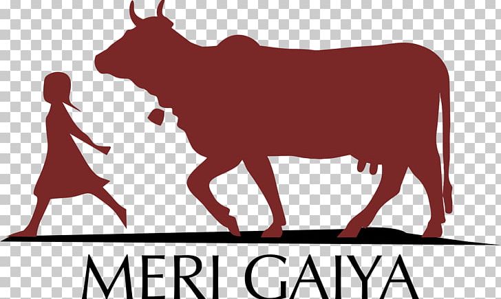 Gyr Cattle Angus Cattle Hereford Cattle Texas Longhorn PNG, Clipart, A2 Milk, Angus Cattle, Area, Beef Cattle, Bull Free PNG Download