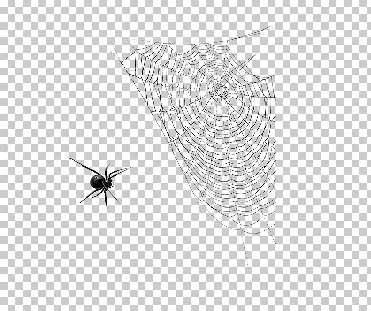 Spider Web Insect Halloween PNG, Clipart, Angle, Animal, Black, Black And White, Circle Free PNG Download