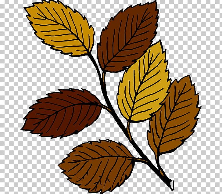 Autumn Leaf Color Free Content PNG, Clipart, Artwork, Autumn, Autumn Leaf Color, Blog, Branch Free PNG Download