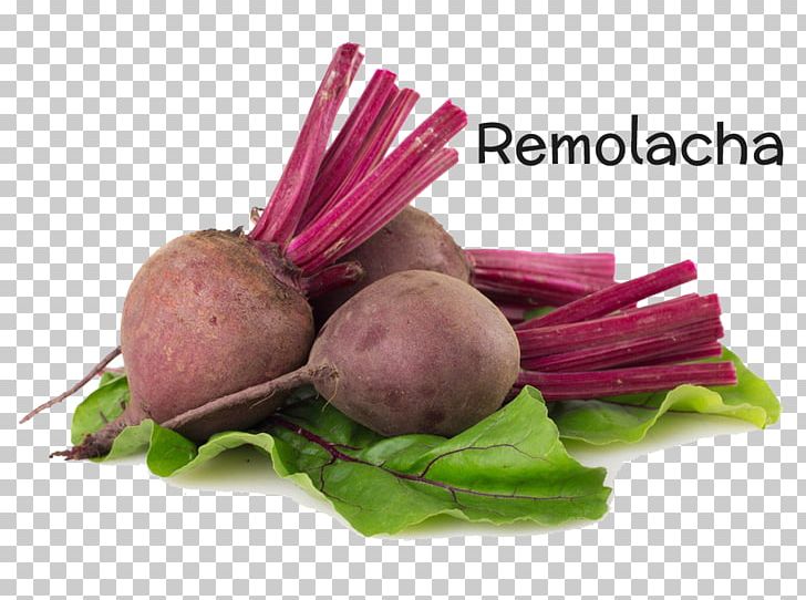 Beetroot Sea Beet Vegetable Food Chard PNG, Clipart, Beet, Beetroot, Botany, Broccoli, Chard Free PNG Download
