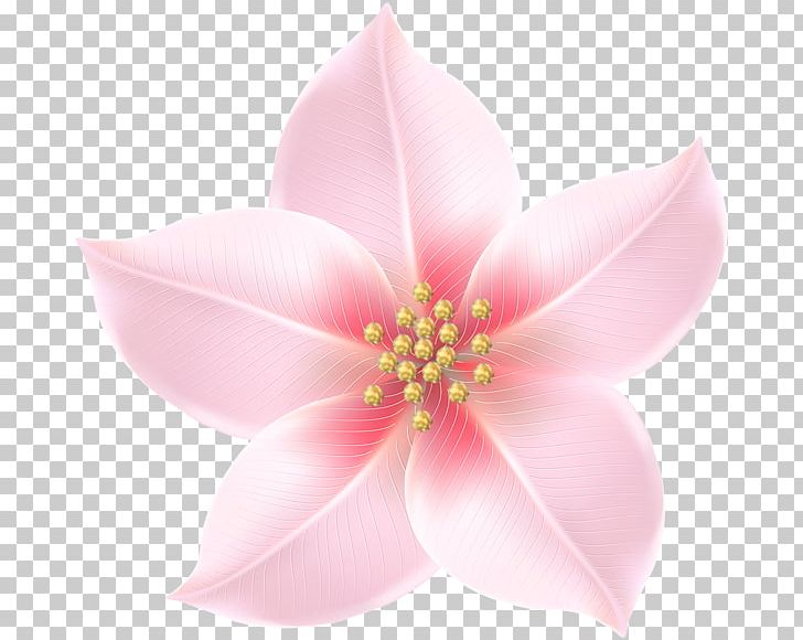 Portable Network Graphics Transparency Flower PNG, Clipart, Aquatic Plant, Blossom, Desktop Wallpaper, Eye, Flower Free PNG Download