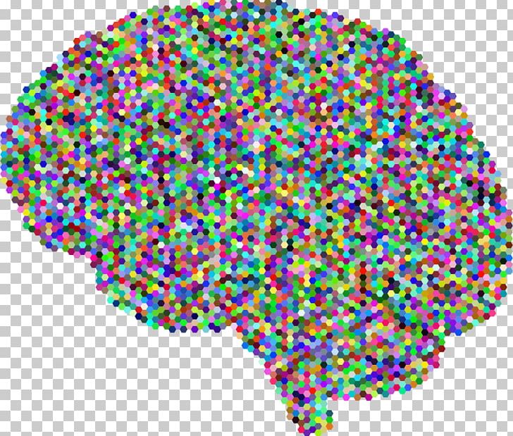 Brain PNG, Clipart, Area, Brain, Cerebral Cortex, Circle, Cortex Free PNG Download
