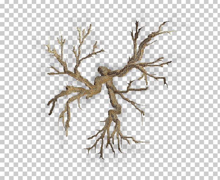 Twig Plant Stem Wood /m/083vt PNG, Clipart, Bizarre, Branch, M083vt, Nature, Organism Free PNG Download