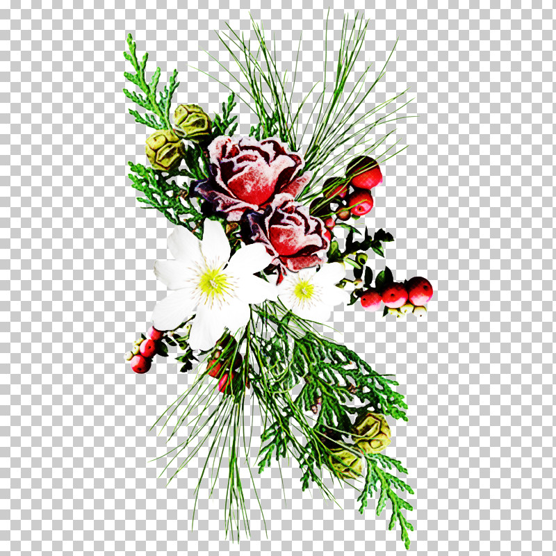 Floral Design PNG, Clipart, Anthurium, Bouquet, Branch, Conifer, Creative Arts Free PNG Download