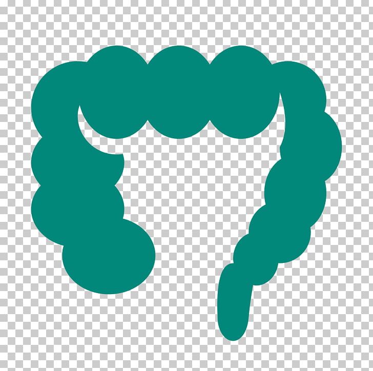 Large Intestine Computer Icons Font PNG, Clipart, Aqua, Circle, Colon, Computer Font, Computer Icons Free PNG Download