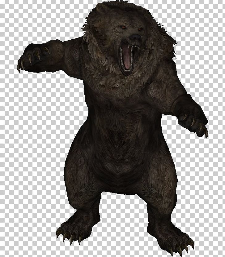 The Elder Scrolls V: Skyrim Oblivion The Elder Scrolls III: Morrowind Bear PNG, Clipart, Animals, Carnivora, Carnivoran, Elder Scrolls, Elder Scrolls Iii Morrowind Free PNG Download