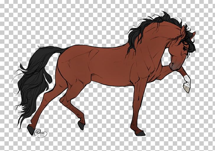 Appaloosa Gypsy Horse Drawing PNG, Clipart, Art, Black, Brown, Colt, English Riding Free PNG Download