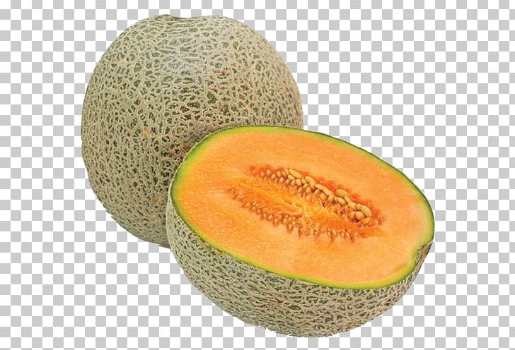 Cantaloupe Watermelon Dried Fruit PNG, Clipart, Banana, Cantaloupe, Cucumber Gourd And Melon Family, Cucumis, Dried Fruit Free PNG Download
